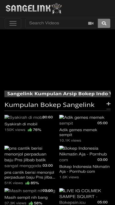 sangelink.org